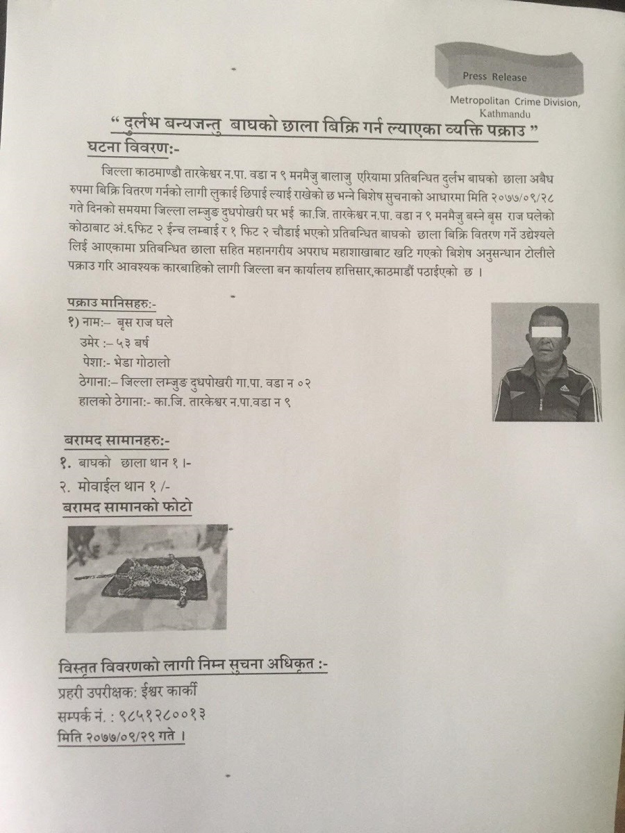 राजधानीमै प्रतिबन्धित बाघको छालासहित एकजना पक्राउ