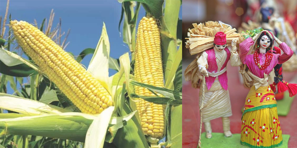 मकैको खोसेलाबाट आकर्षक घरायसी सामग्री उत्पादन
