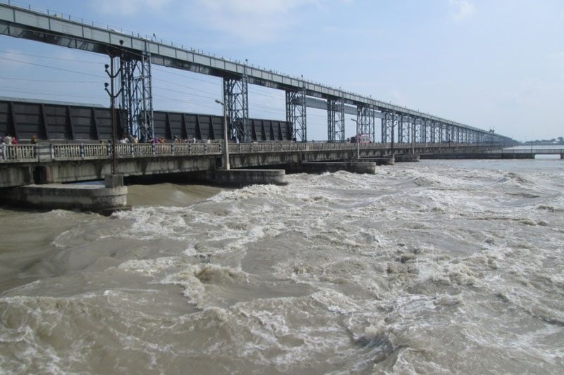 कोसीमा हाम फालेर इटहरीका दाहाल बेपत्ता