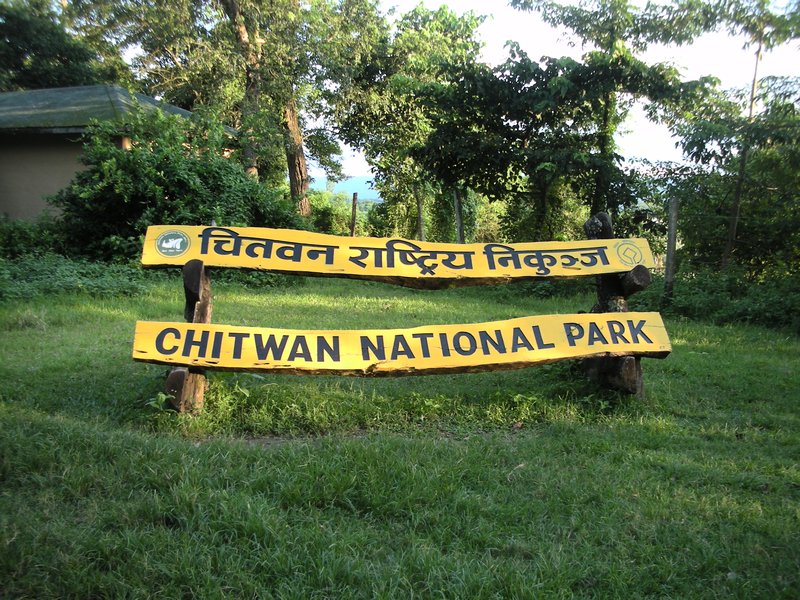 निकुञ्जबाट वन्यजन्तु दिउँसै गाउँ पस्न थालेपछि ।।।
