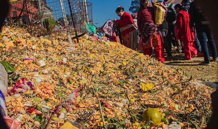 किन छरिन्छ शतबीज ?