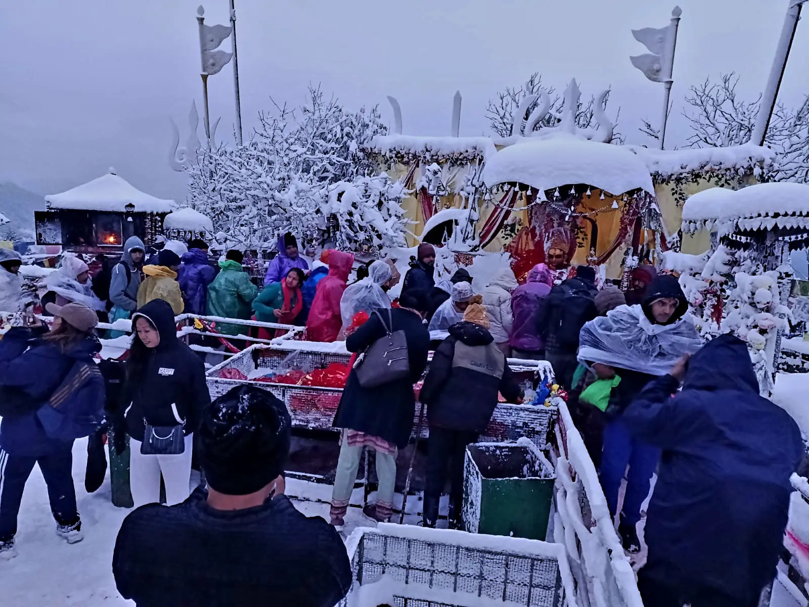 पाथीभरामा हिमपात